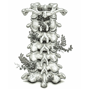 女装给民工做老婆
